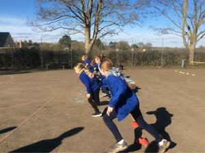 Willows   cricket