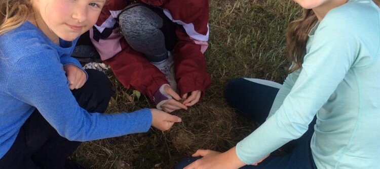 An amazing last term at Middle Barton School An amazing last term at Middle Barton School