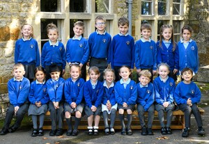 Sycamore website only