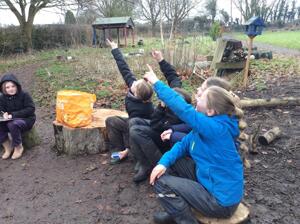 Oaks   RSPB Birdwatch