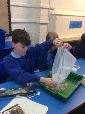 Oaks   Oxford Science Workshop 2